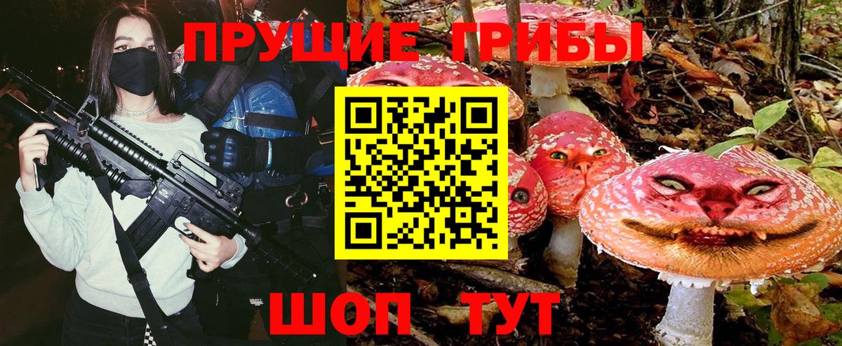 Каменск-Шахтинский  Псилоцибиновые грибы MAGIC MUSHROOMS  Вход с VPN 